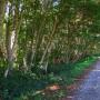 Coastal Trail, just before the lagoon.